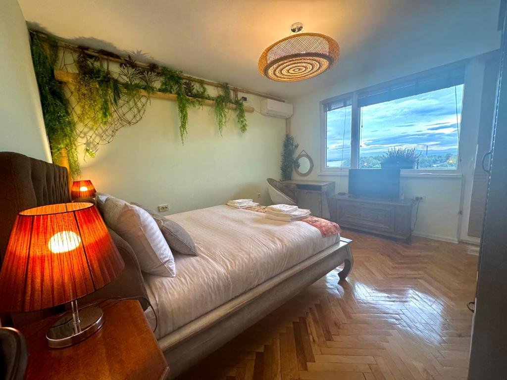 Bamboo tree Apartment, Vidin