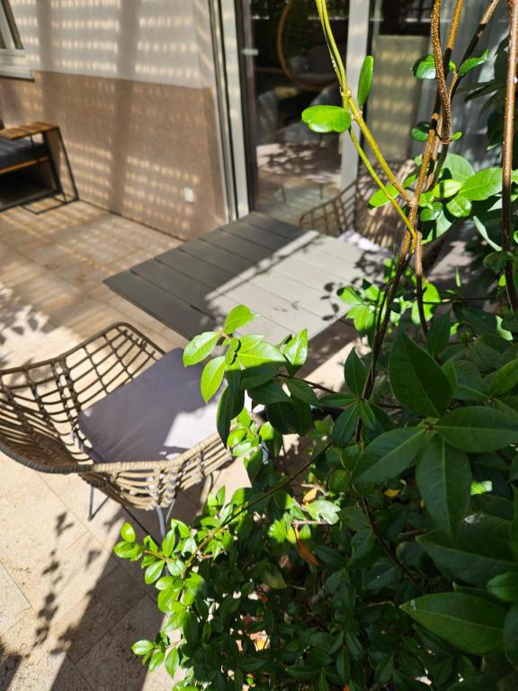 Olive Lux Apartment with Parking - 2