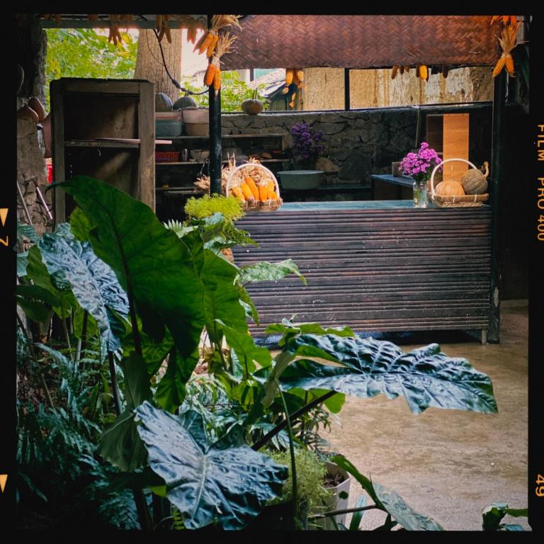 Le Petit Home