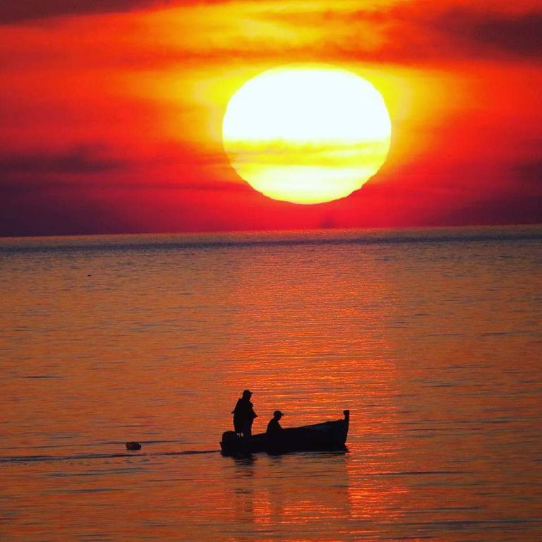 Vrsutska 81, Sutomore