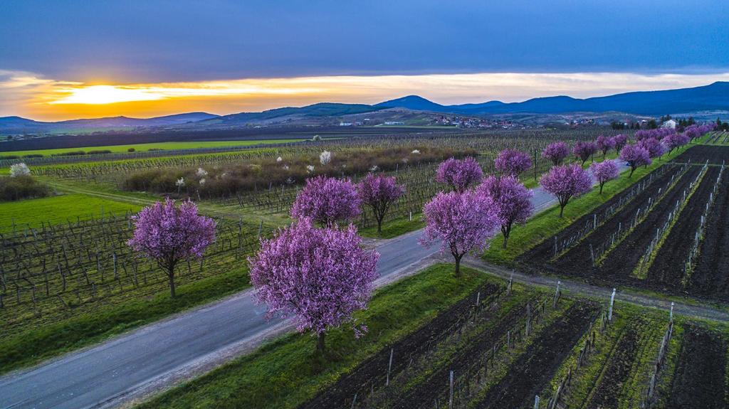 GABE Vendègház, Gyöngyöstarján