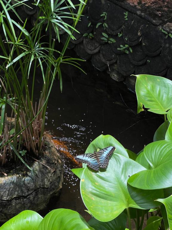 Surrounding environment