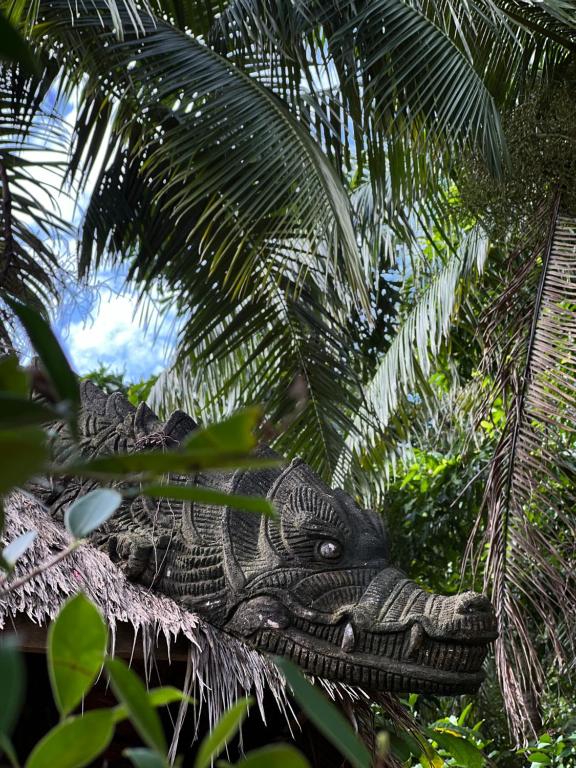 Surrounding environment