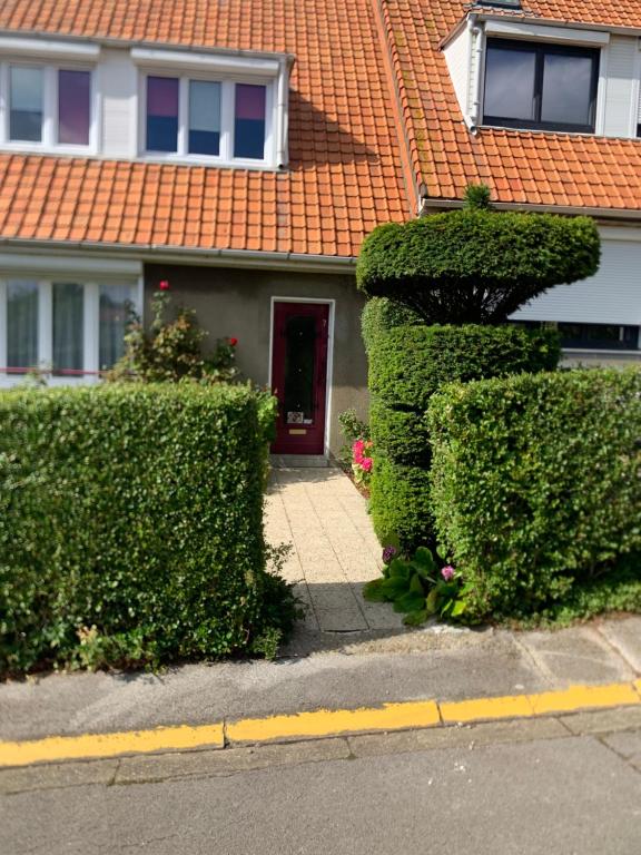 Mirdou62, Boulogne-sur-Mer