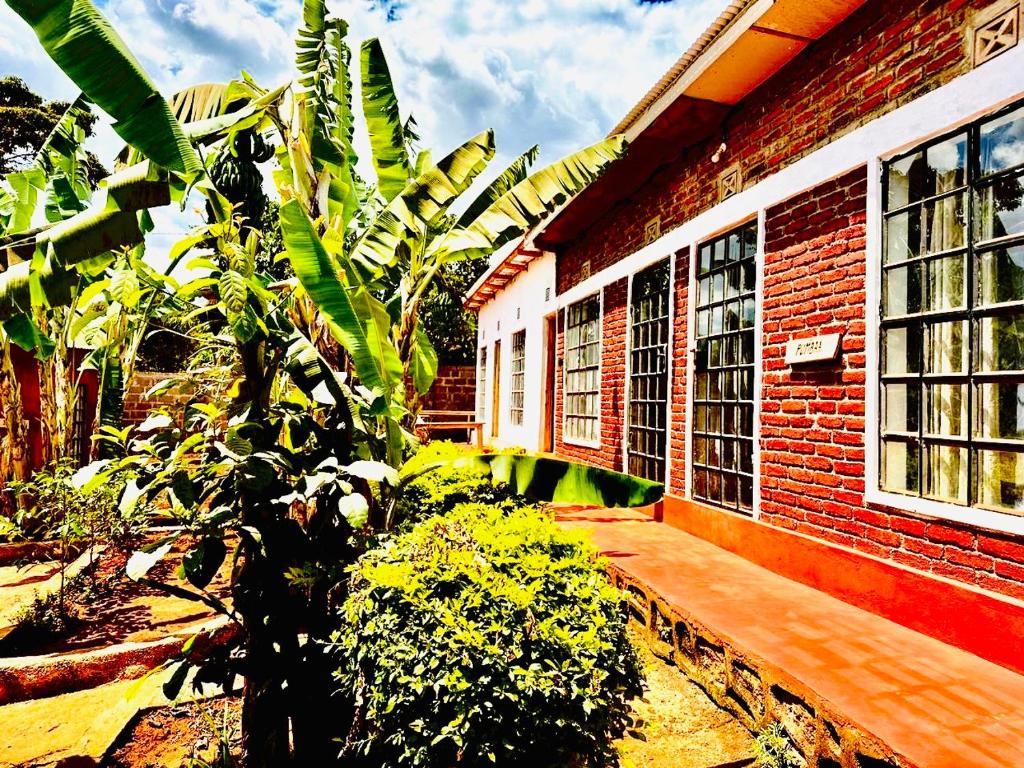 Sonofjohnhomestay, Karatu