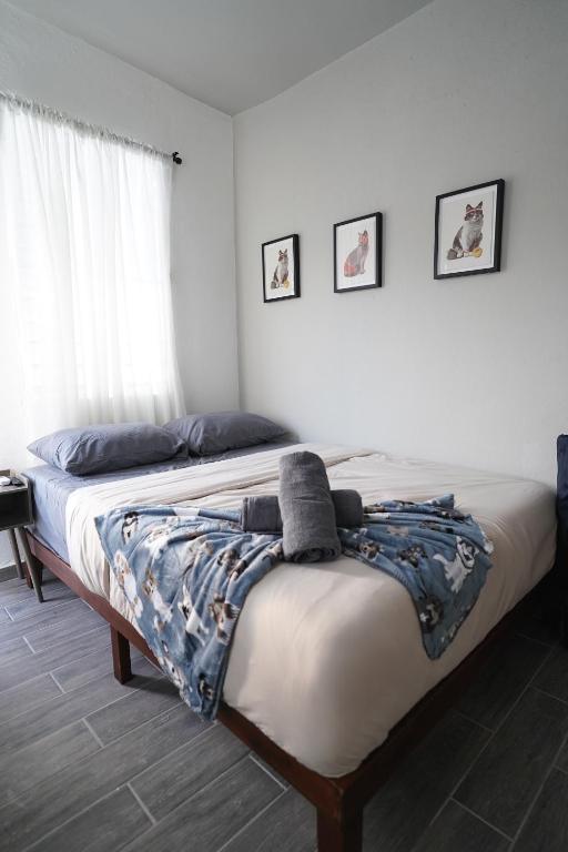 Palmeras 3 with Solar Panels, San Juan