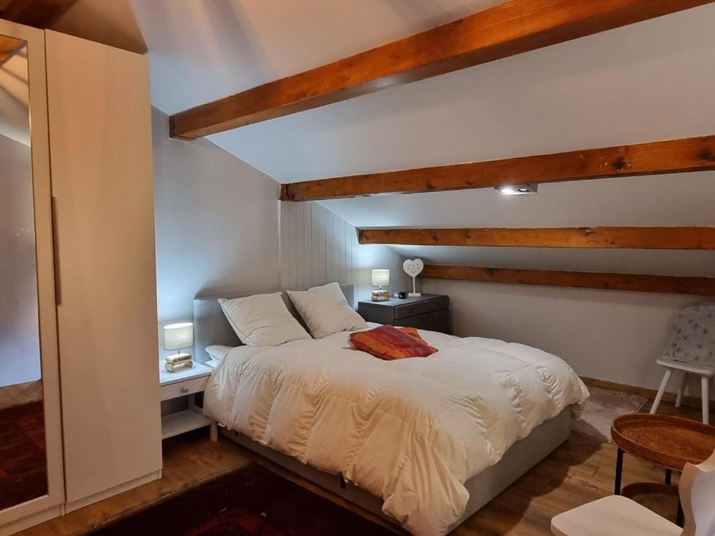 Duplex lumineux 6/7 pers, accès pistes, WIFI, animaux acceptés - 4