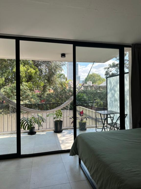 Estudio Chingolo - 4