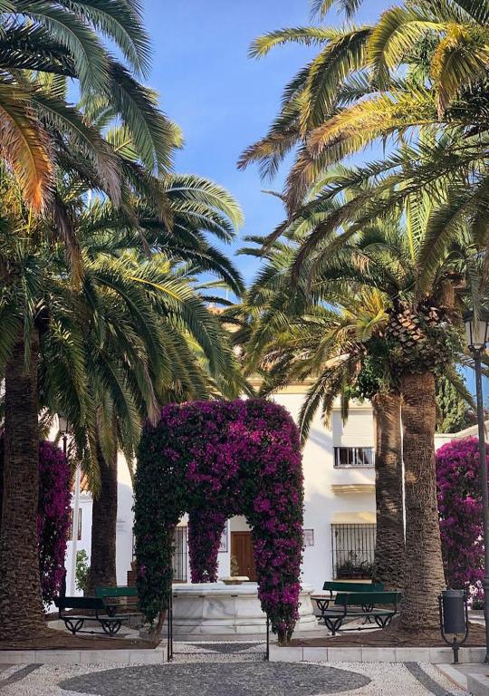 Palm House 10 - 5