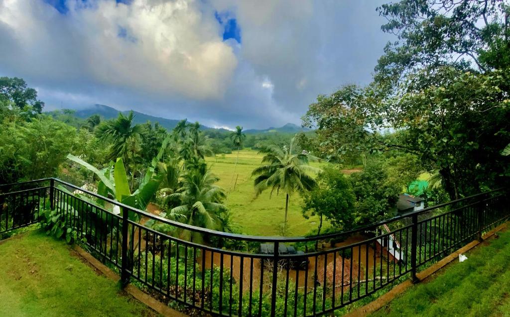 Rainforest Border Edge, Deniyaya