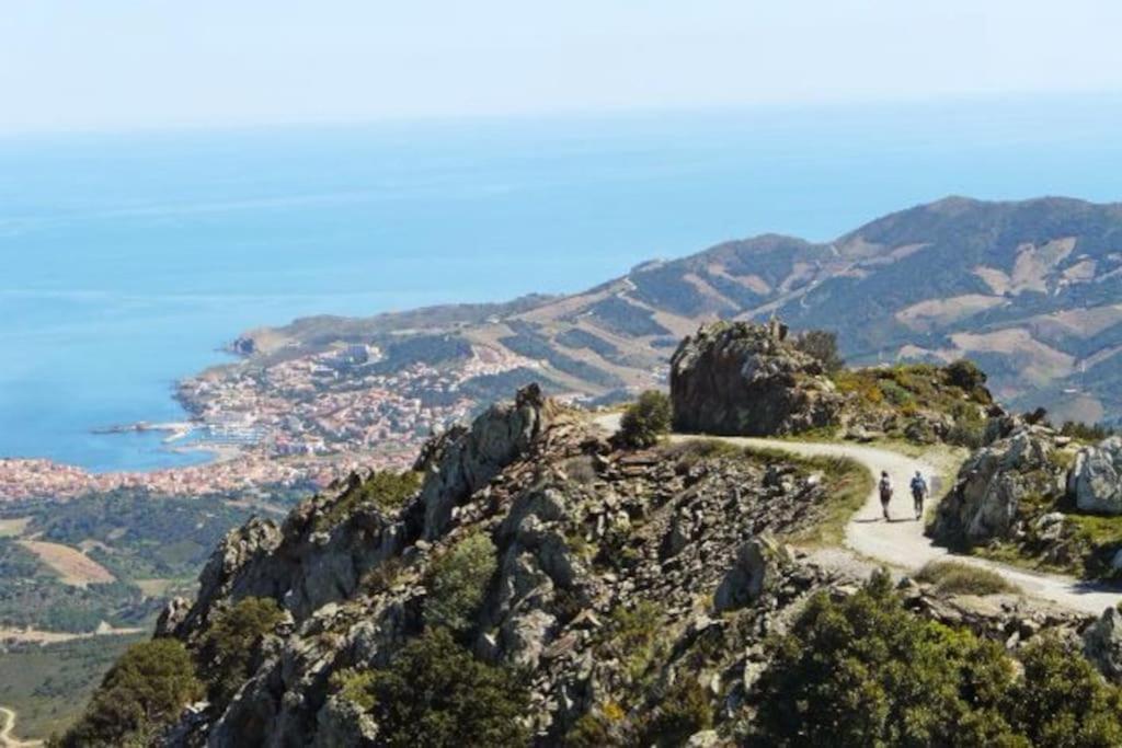 Charmant séjour au cœur des vignes de Banyuls - 3