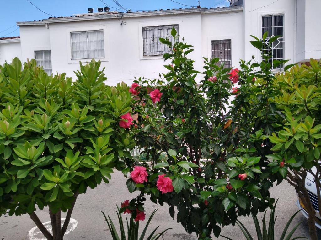 Linda Casa de dos pisos en Floridablanca, Comoda y Privada - 2