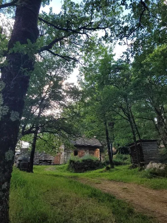 Insolite bergerie dans la forêt，位于Arnac-sur-Dourdou的酒店