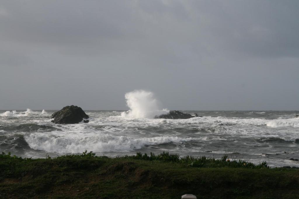 Oceanfront Lodge photo