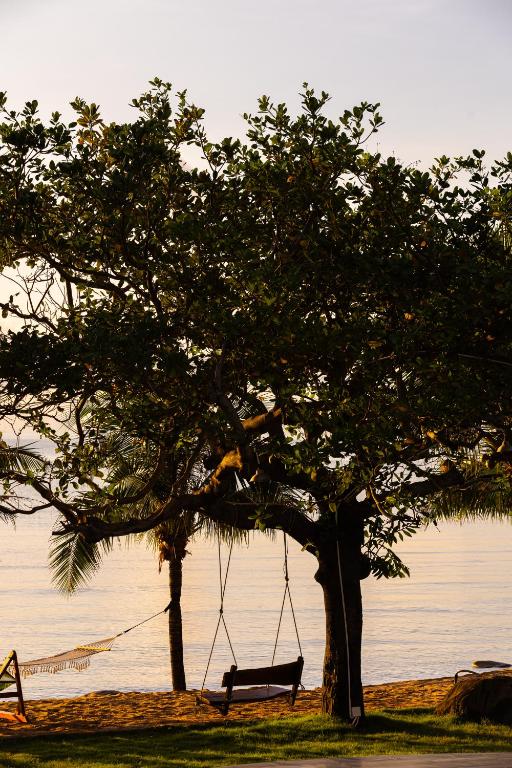 Surrounding environment