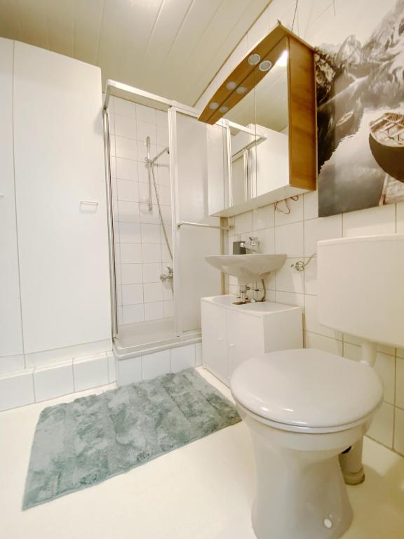 1-Zi-Ferienwohnung Säulingsblick - 4