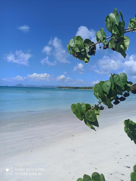 Ti-Case Appartement Jacuzzi à 100m de la plage, Sainte-Luce