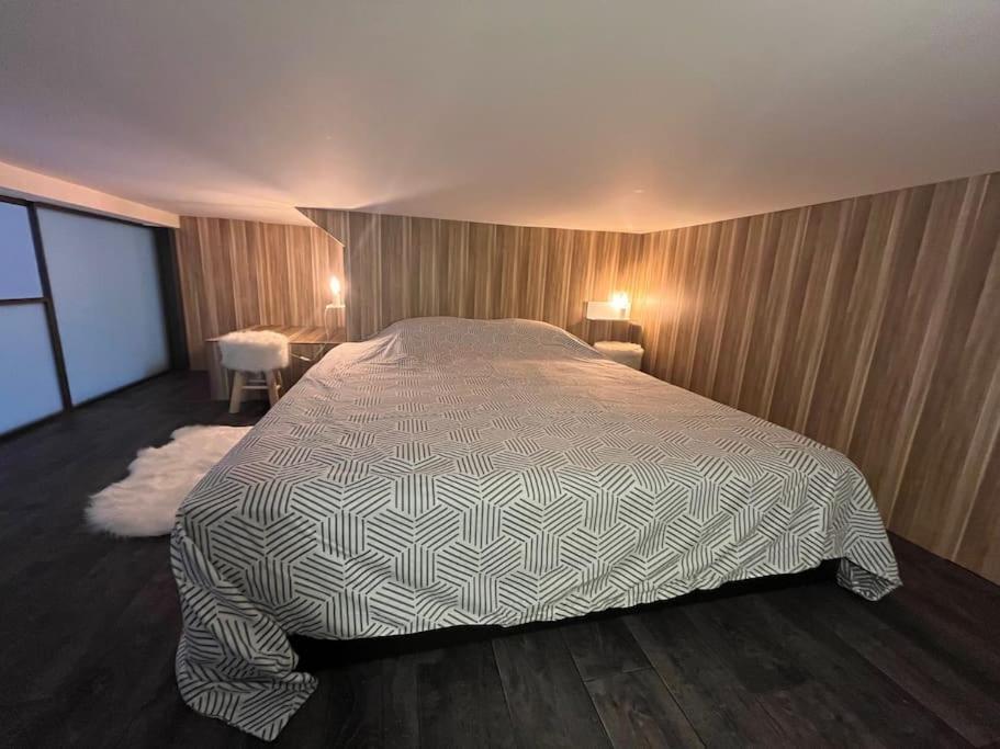 Cannes, Loft 6 couchages proche centre et plages - 5