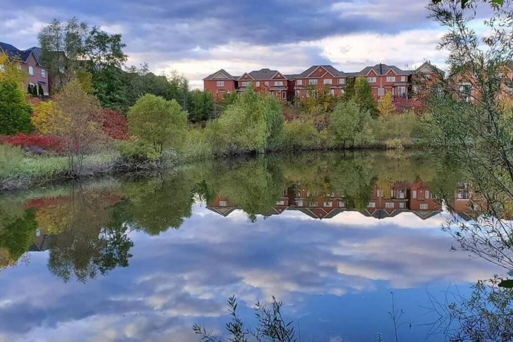 Cozy and comfy Studio Apartment, Richmond Hill