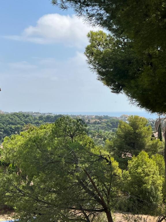 Suite F up, Rio Real, Marbella - 3