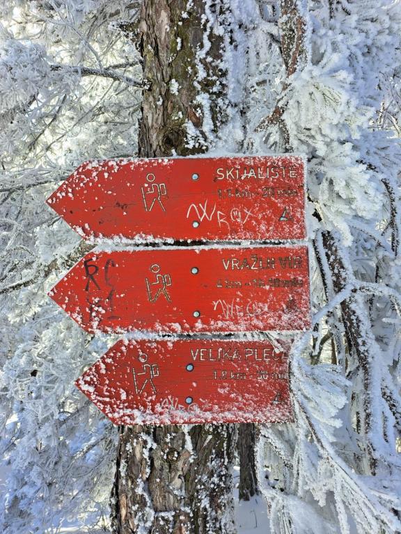 Maglian Forest Retreat - 4