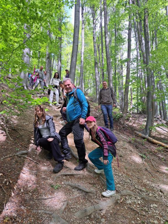 Maglian Forest Retreat - 2