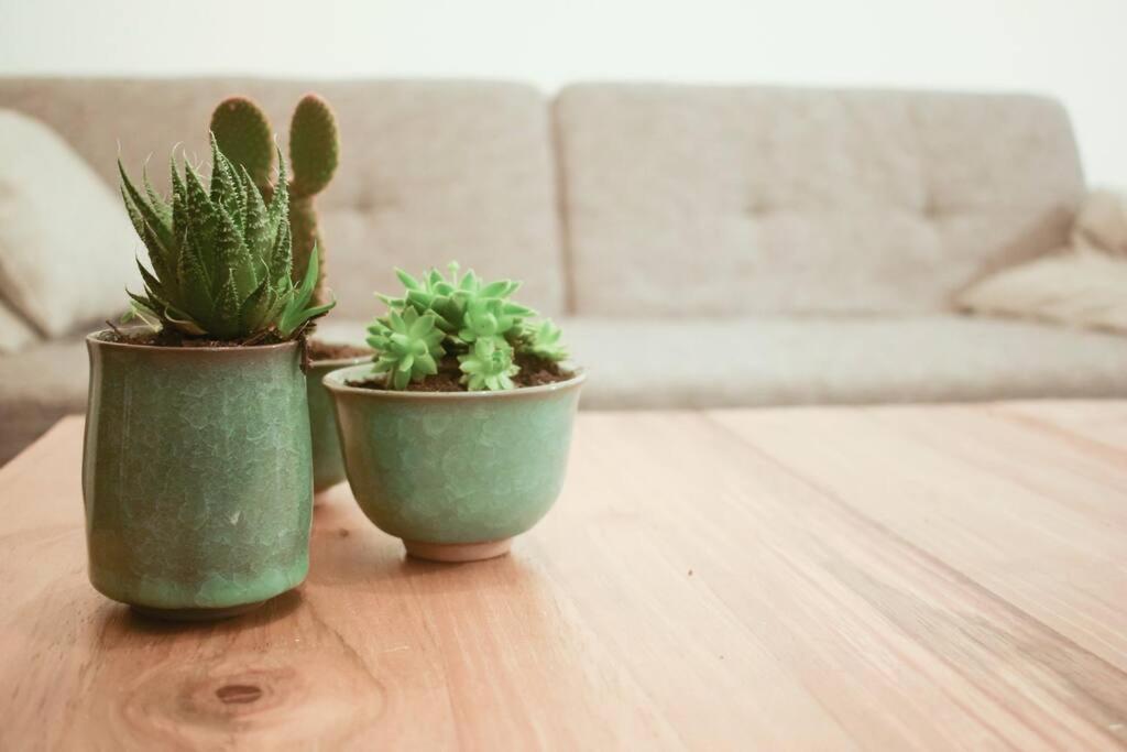 Departamento entero, hermosa vista al parque - 4 camas - 4