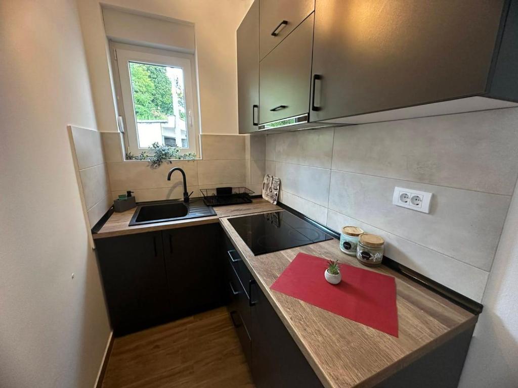 Apartman Pavlović - 5