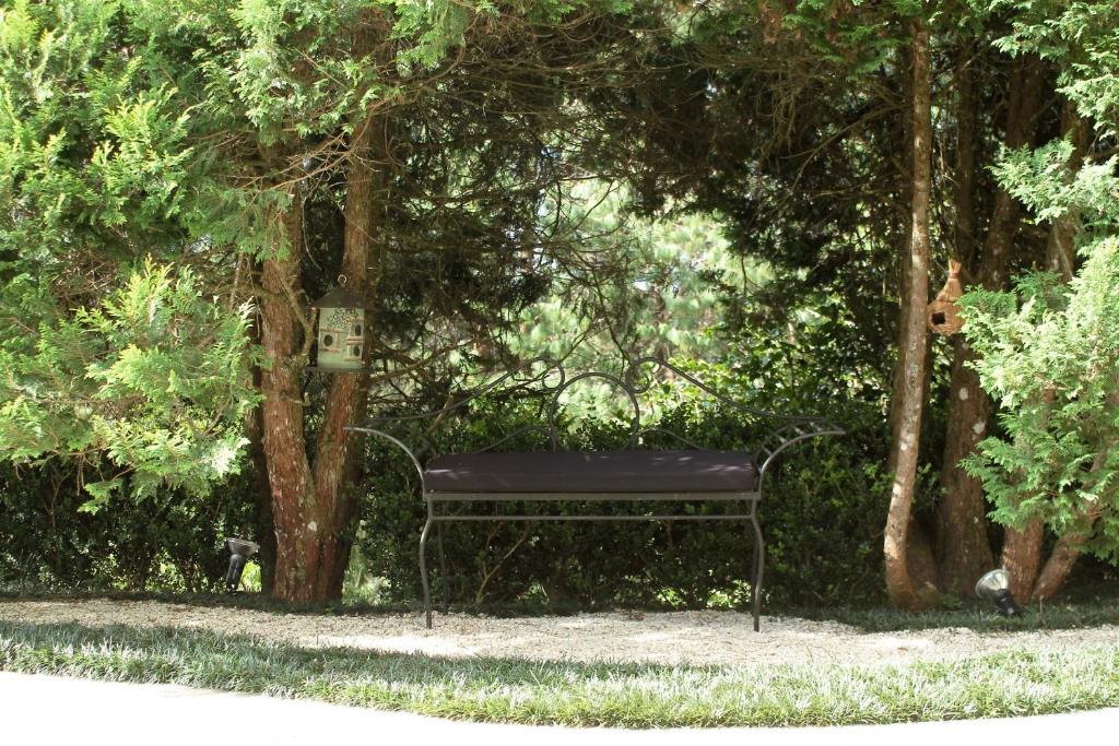 Surrounding environment