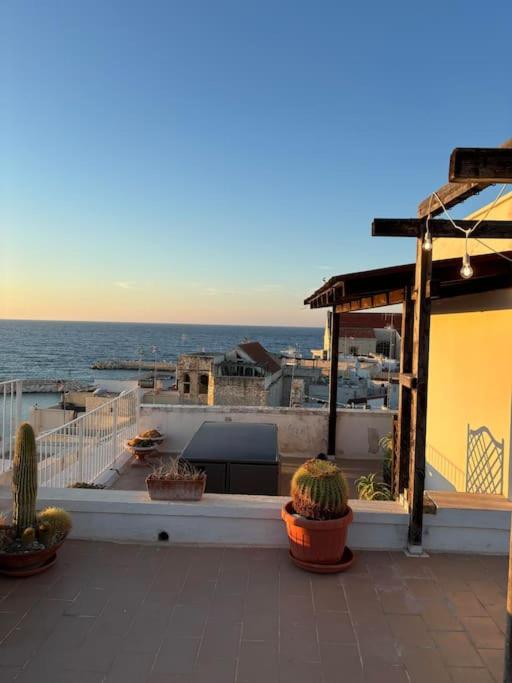 Tra cielo e mare, Giovinazzo