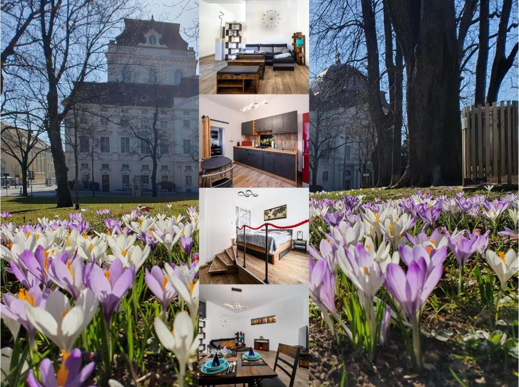 Top at Park, das luxuriöse Appartement mit Terrasse und Parkplatz im Herzen von Graz, Štýrský Hradec