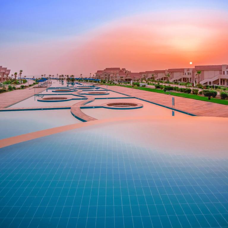 アクティビティ