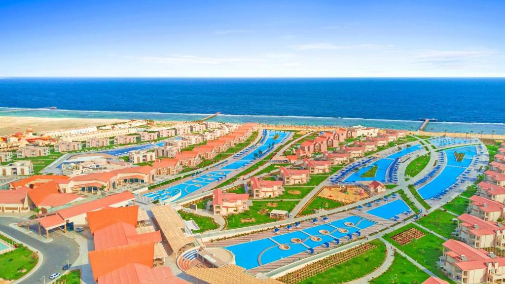 アクティビティ