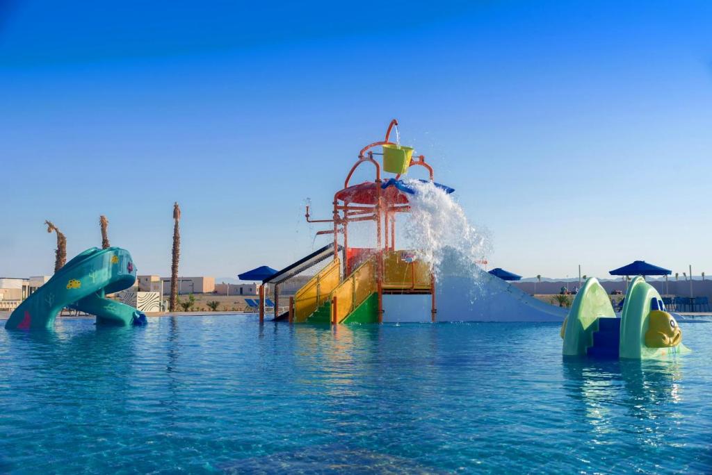 アクティビティ