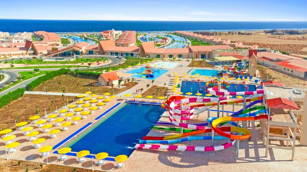 アクティビティ