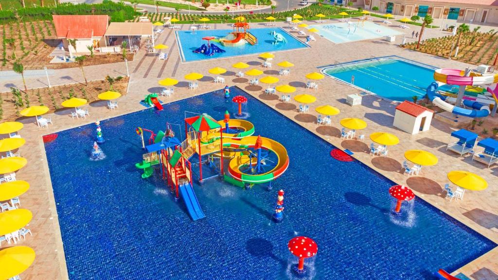 スイミングプール