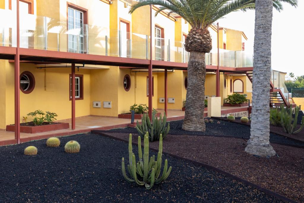 Maxorata Beach — Hotel building in Corralejo, Canary Islands