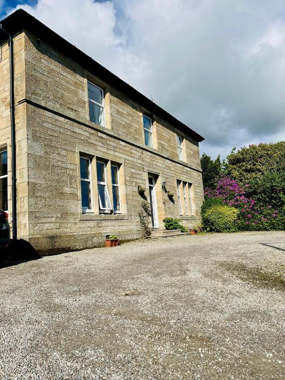 Springfield Guesthouse ガーデン