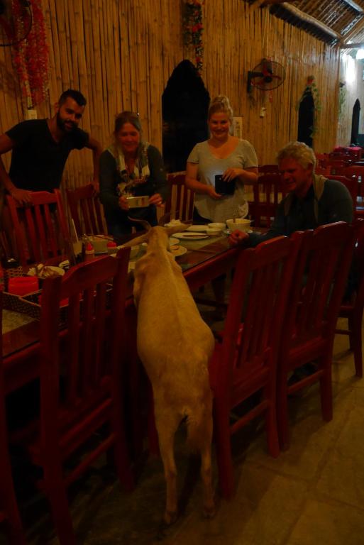 Ninh Binh Valley Homestay