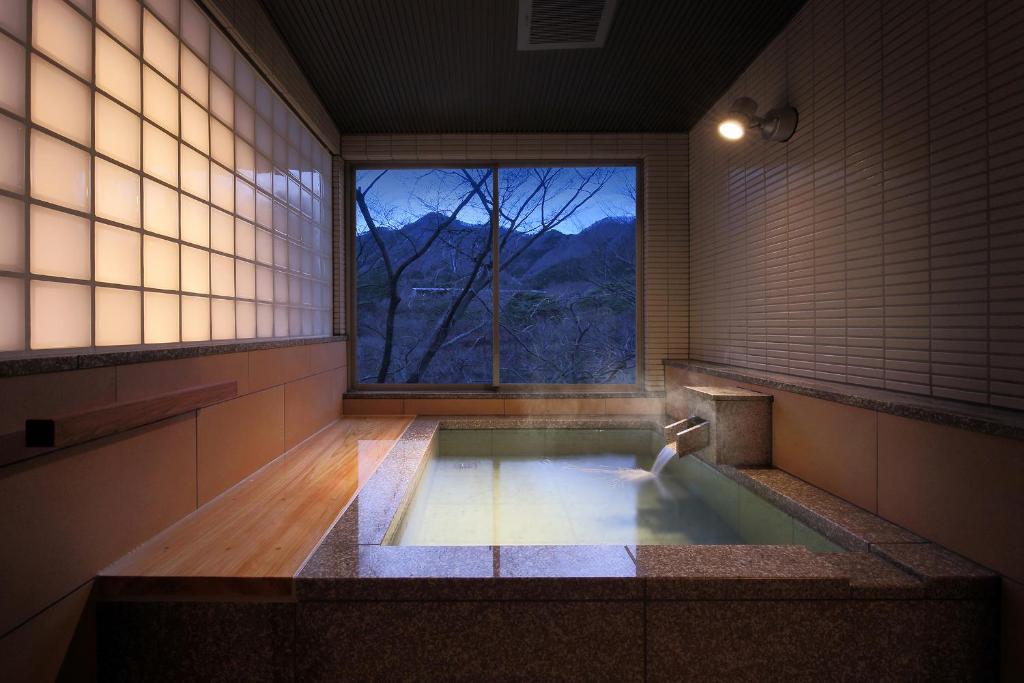 Hot spring bath