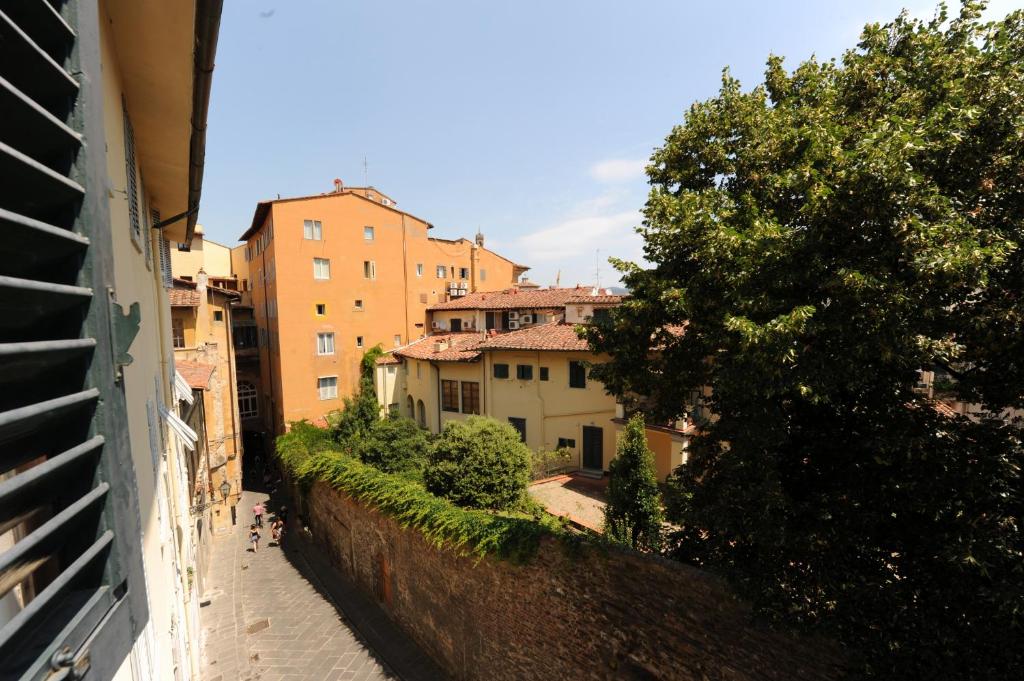 Acacia Firenze - Flora - 5