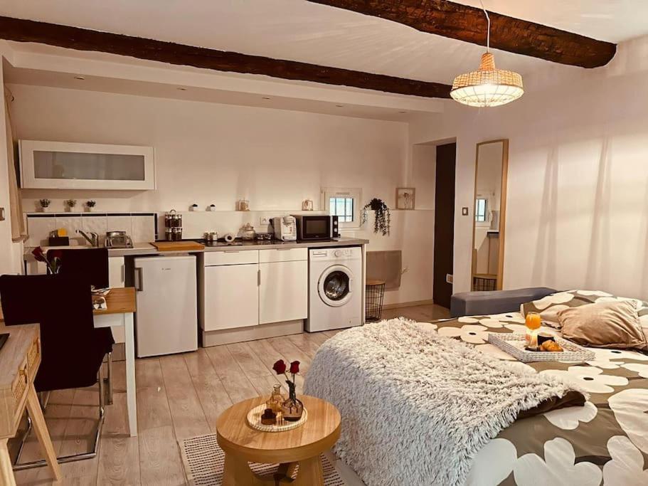 Studio Oasis de paix centre Aix en Provence - 5