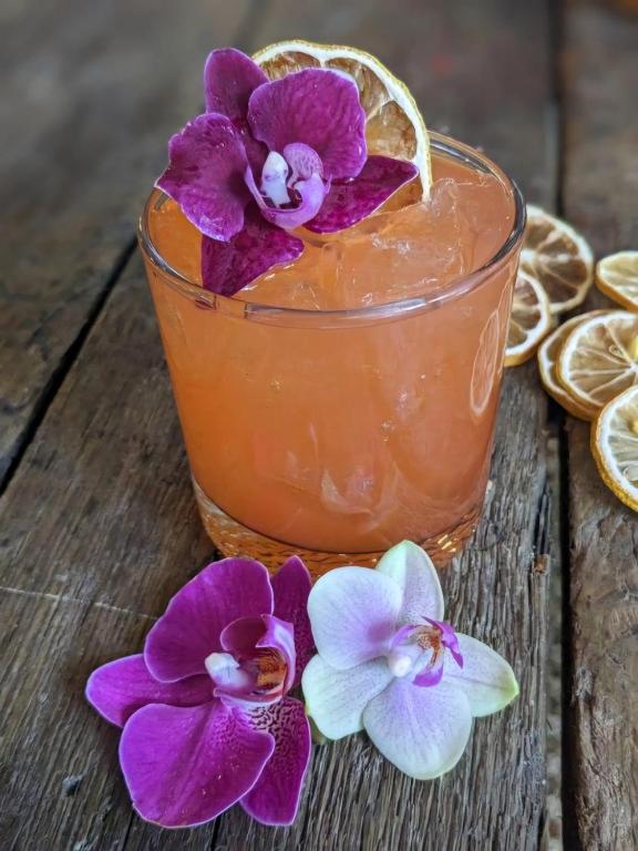 حانة/استراحة