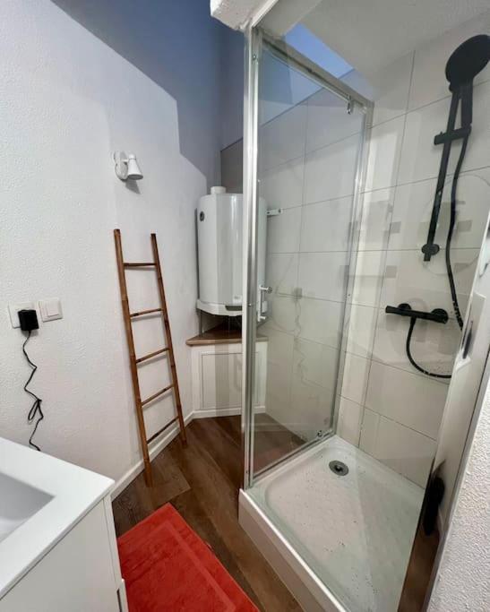 Appartement plein centre-ville - 3