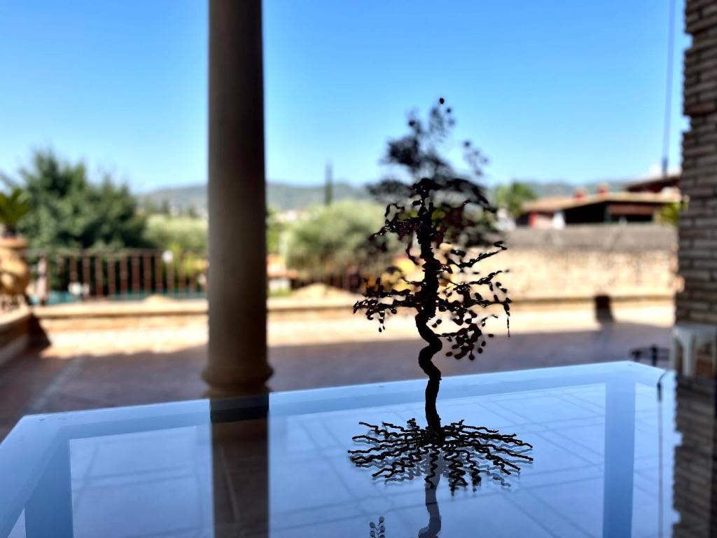 Mirador del Calasancio 2 - 5