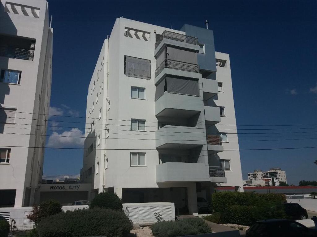 Ảnh 5