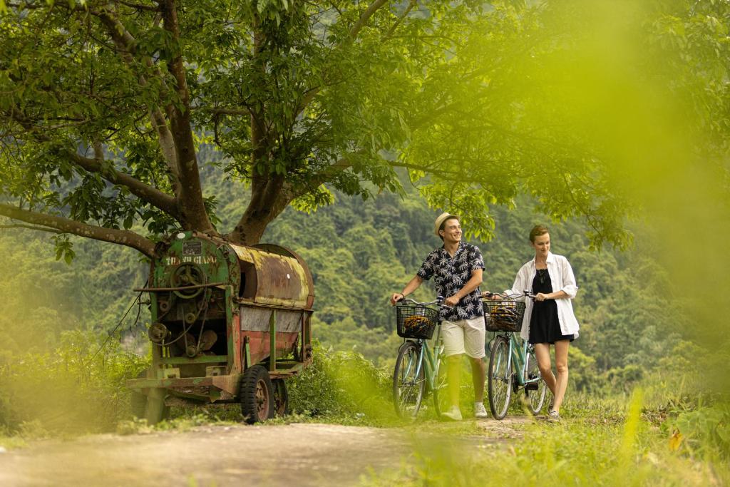 Surrounding environment