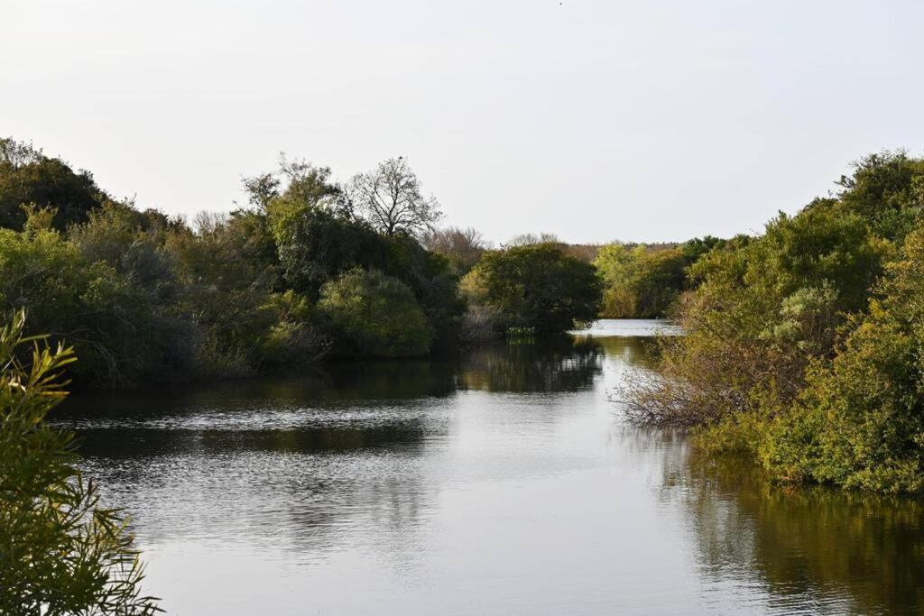 Casa de campo en estancia ganadera La Pilona - 5