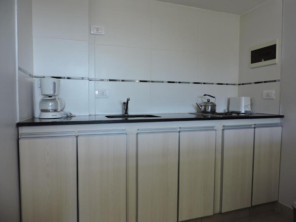 Vuelo de Gaviotas - 3