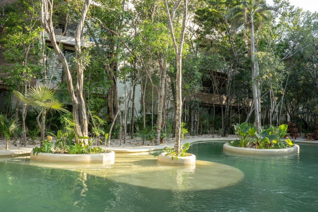 1 Bedroom-Tulum-Private pool - 5